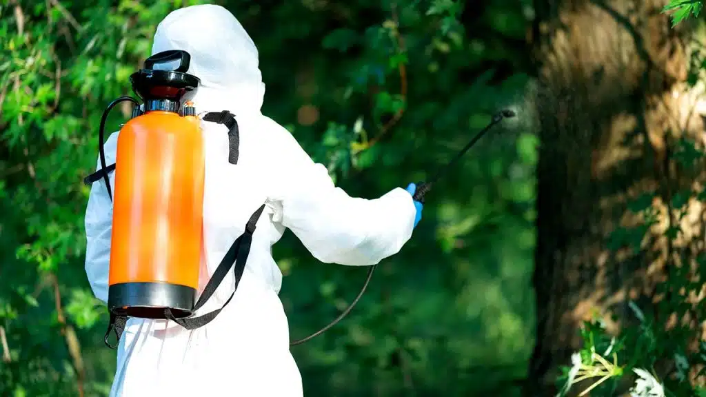 Anti Termite Control Services