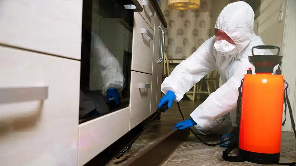 Benefits Of Best Anti Termite Control Services