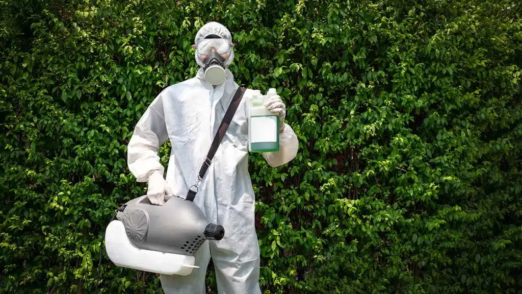Best General Pest Control Services