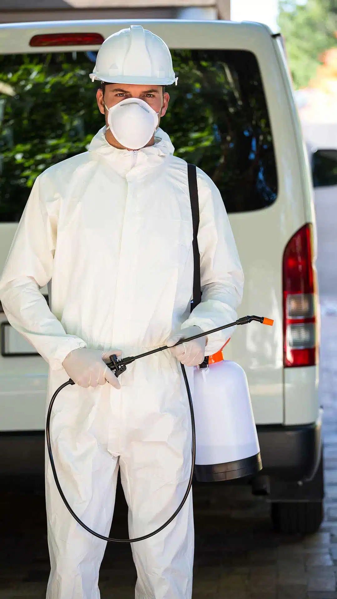 About - Effective solutions for your pest problems offered