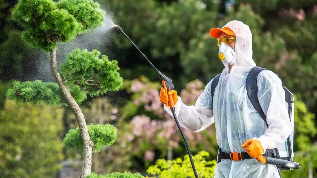 General Pest Control Services