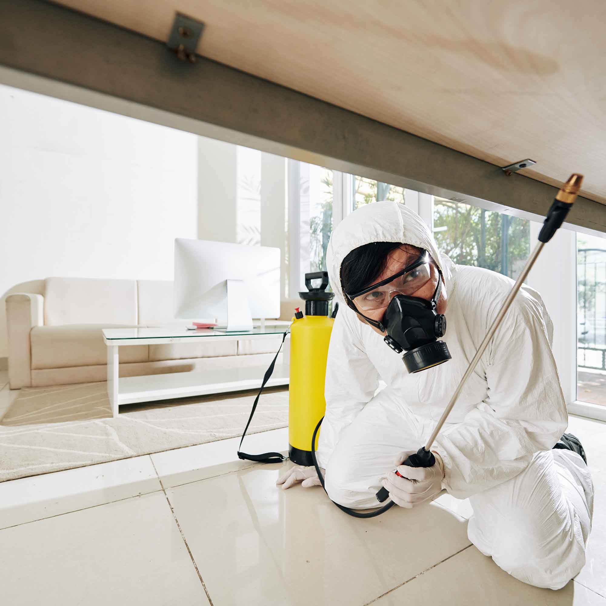 Best Pest Control Louisville KY For Home