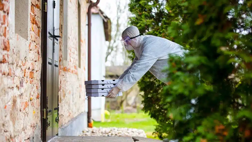 Our Pest Control Cleaning Services