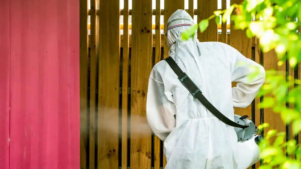 Pest Control Cleaning Services