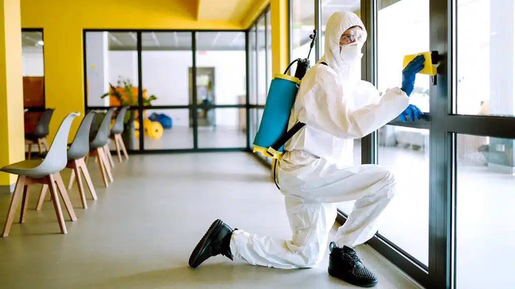 Pest Control General Maintenance