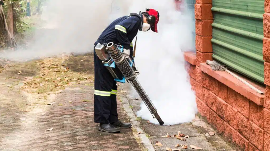 Signs You Need Pest Control
