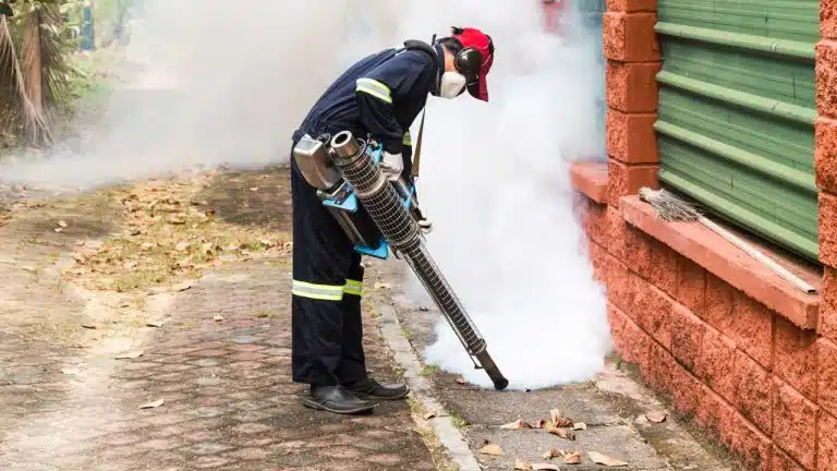 Signs You Need Pest Control