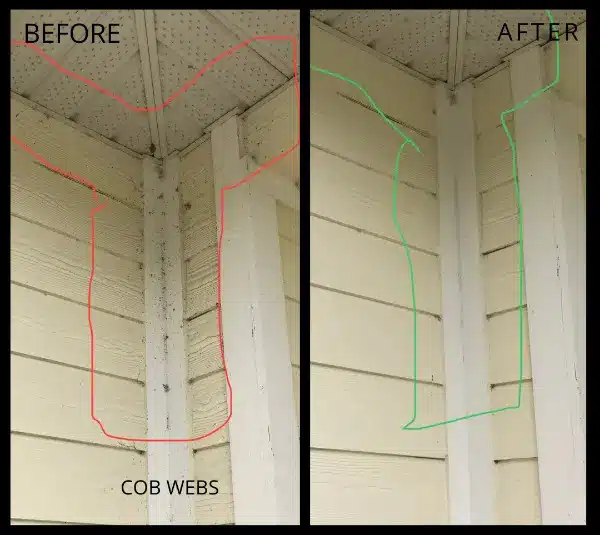 Signs You Need Pest Control images