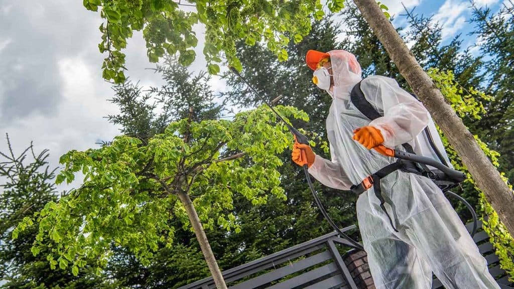 Do It Yourself Pest Control