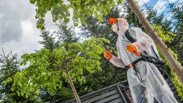 Do It Yourself Pest Control